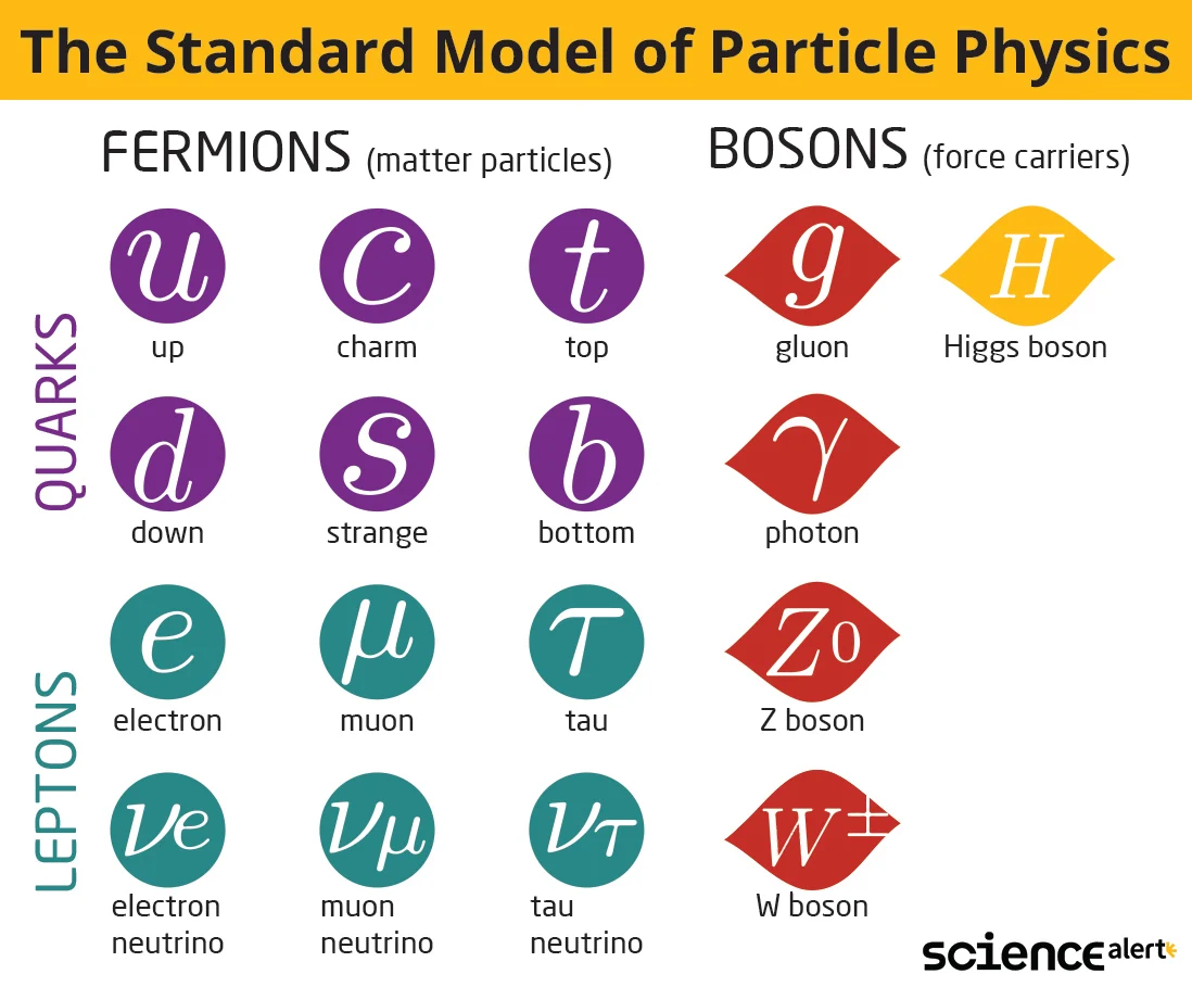 Как поле Хиггса дает фундаментальным частицам их массу?